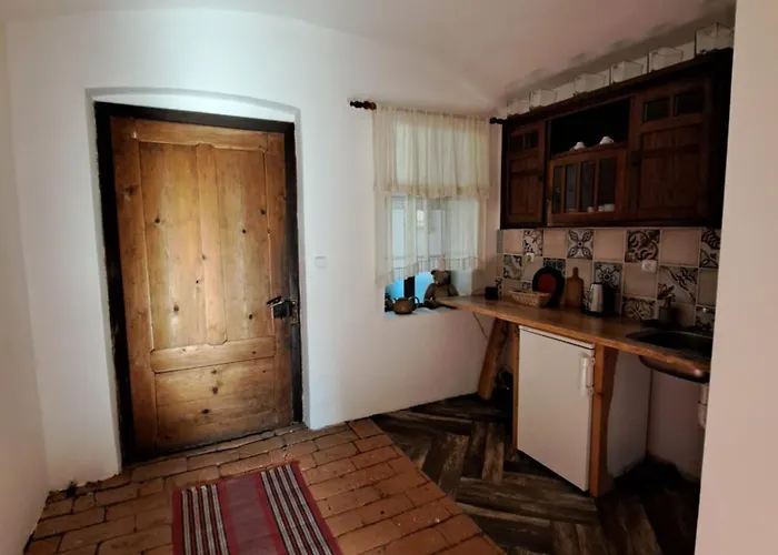 Novomanzelsky - 100dola Guest house